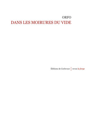 Dans les moirures du vide